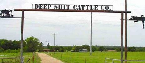 Deep Shit Cattle Co.